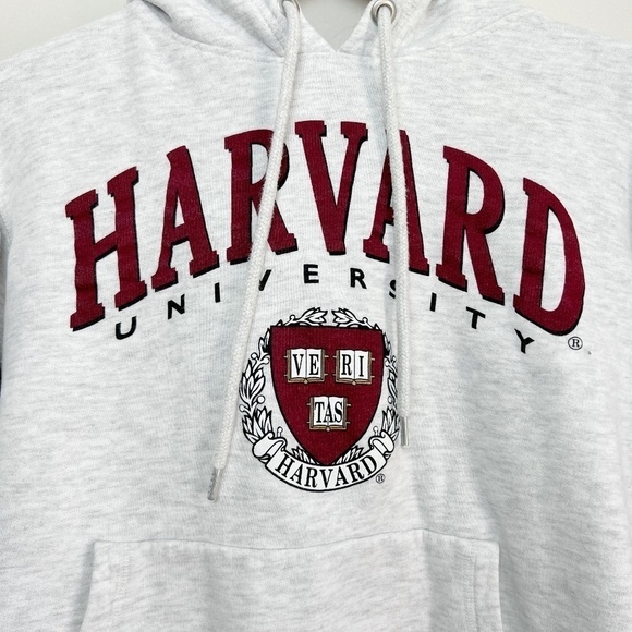 H&M HAVARD Heather Grey and Burgundy Hoodie Sweatshirt Small - Picture 2 of 8